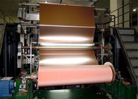 30 capacité de armature de cuivre gravure à l'eau forte de pureté de l'aluminium 99,95% d'épaisseur de micron bonne